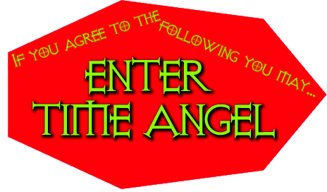 IF YOU AGREE TO THE FOLLOWING YOU MAY ENTER TIME ANGEL HERE